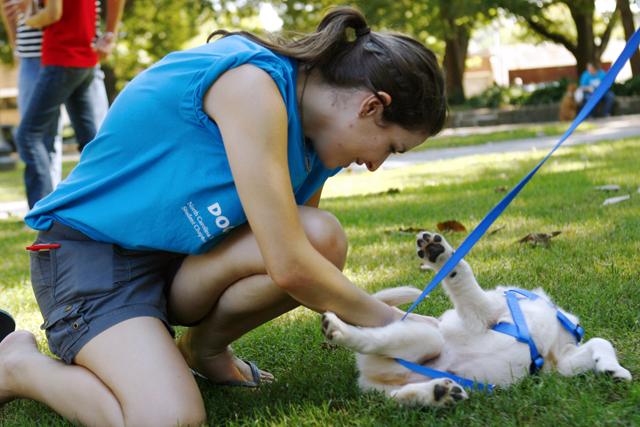 First year veterinary student Sabrina Trager plays with a golden retriever puppy at the Dog Olympics Saturday, Oct. 3. "I wanted to participate because I just love playing with the dogs. My favorite dog was a dancing German shepherd earlier this morning," Trager said. Photo by Jonathan Stephens