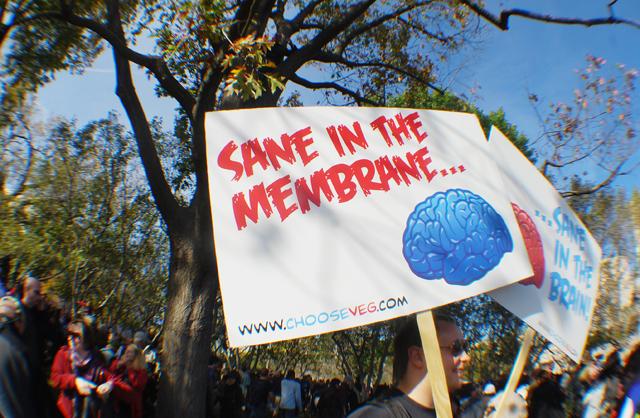 Citizens hold signs on the National Mall in Washington, D.C., for the Rally to Restore Sanity. Many people brought signs addressing their own agenda's to the rally.