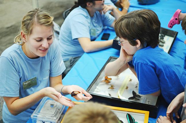 Ann Carr, a graduate student in entomology, shows kids hissing cockroachs as part of the 2010 Bugfest held in the North Carolina Museum of Science in downtown Raleigh, Sept. 11, 2010. "I like working witih kids and showing them that bugs aren't scary but are actually pretty cool," Carr said. Since February this year, 41 outreach programs have been developed. Photo by Luis Zapata.