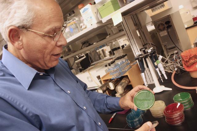 Hosni Hassan, microbiologist, is researching how to culture a non pathogenic strain of salmonella. Photo by Brett Morris