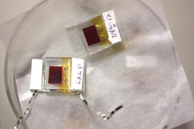These examples of the solar cells sitting in a petri dish are arranged so that one end of the cell is an anode and the other is a cathode. The metal strips projecting out from the ends are hooked up to the various measurement devices in the lab to determine the various characteristics of the dye. "The first step is to design the dye using molecular modelling to predict how the dye will perform when harvesting light," Dr. El-Shafei said. P