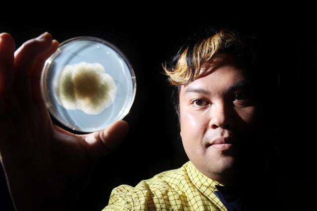Graduate student in plant pathology Rodrigo Olarte poses with a petri dish containing Aspergillus flavus. A finalist in the Stewards of the Future Research Awards competition, Olarte hopes to gain money to further his research in isolating the natural compound that causes a strand to be non-toxigenic and use it to control aflatoxin in food crops. Photo by Tyler Andrews