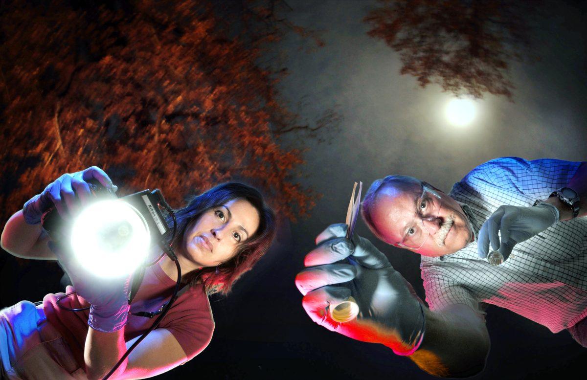 Ann Ross, a professor of anthropology, and Wes Watson, a professor of entomology, work together to examine a crime scene.