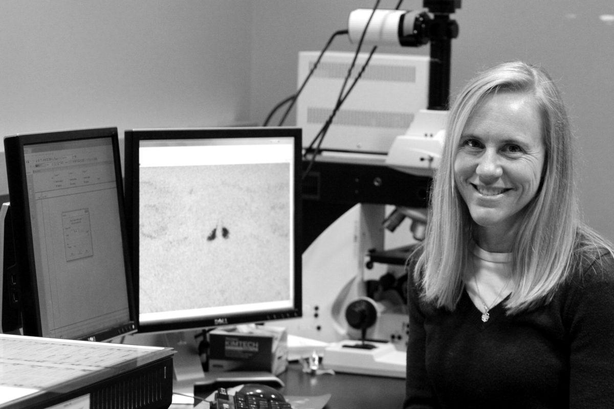 Heather Patisaul, an assistant professor of biology, has been working with harmful chemicals like BPA and is&#160;trying to create a system to catch them before they end up in the final product of manufactured goods.