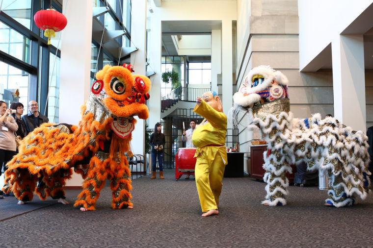 Members of the Triangle Area Chinese American Society perform a Chinese lion dance to celebrate the New Year.
