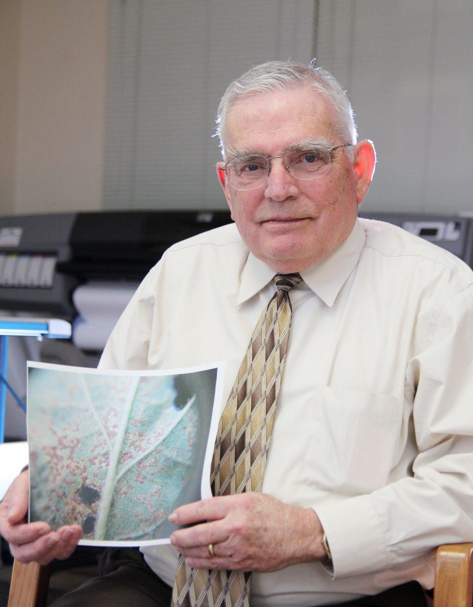Dr. Jim Dunphy, professor of crop science and soybean extension specialist, works to protect North Carolina soybean growers from Asian soybean rust, a disease which kills leaf tissue and defoliates the plant. Along with other efforts, Dunphy maintains contact with over four hundred NC growers to warn them of potential soybean rust moving into the area. Portrait by Tyler Andrews