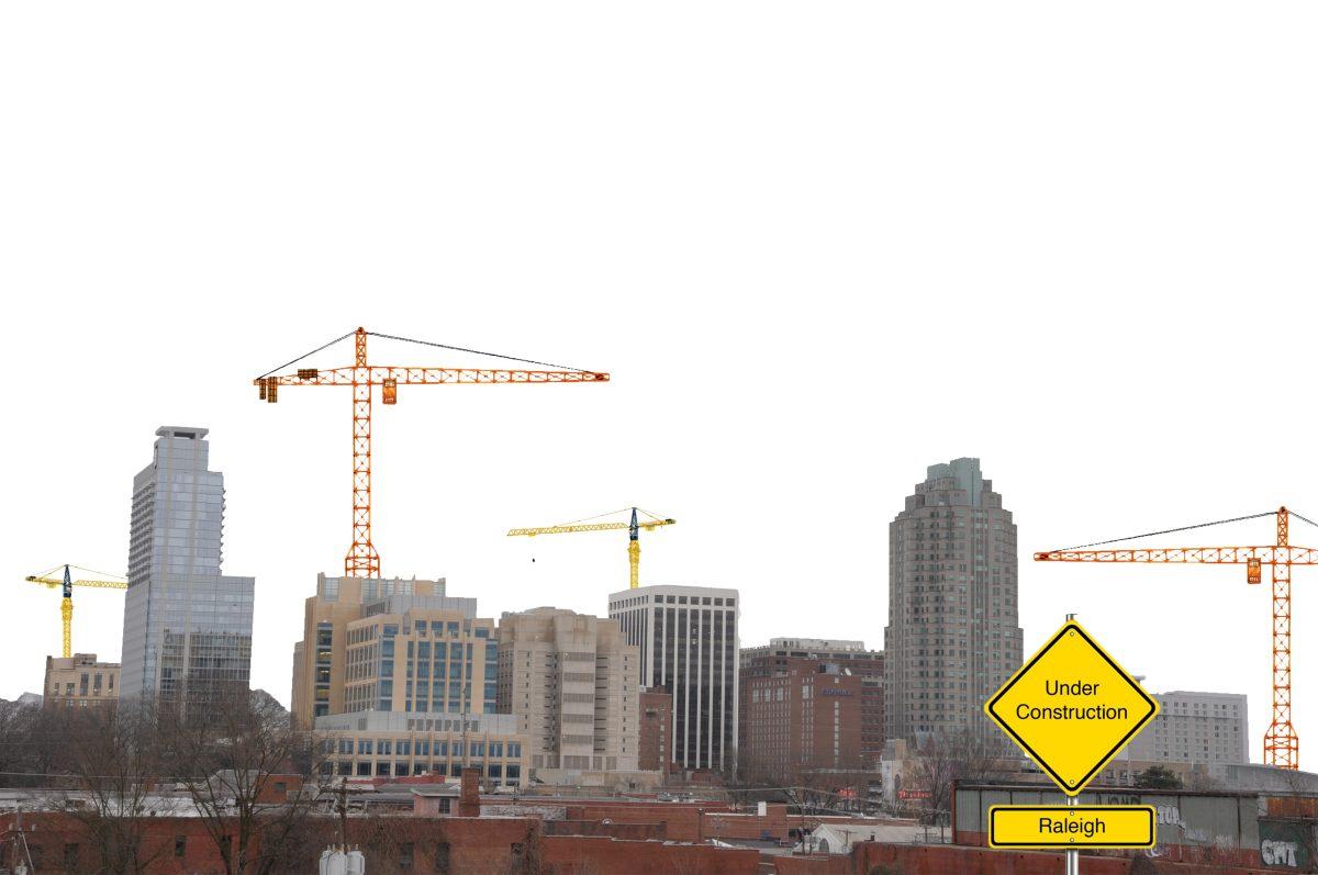 Raleigh skyline