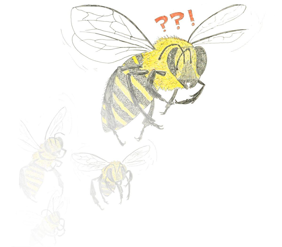 bee