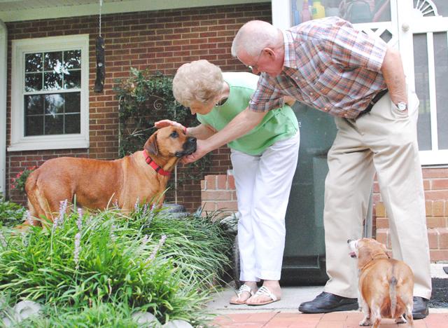 Boo Boo, once a stray dog familiar to students and staff near Syme residence hall, now lives with Peggy and Jackie Price. "She's a smart dog," said Jackie Price.