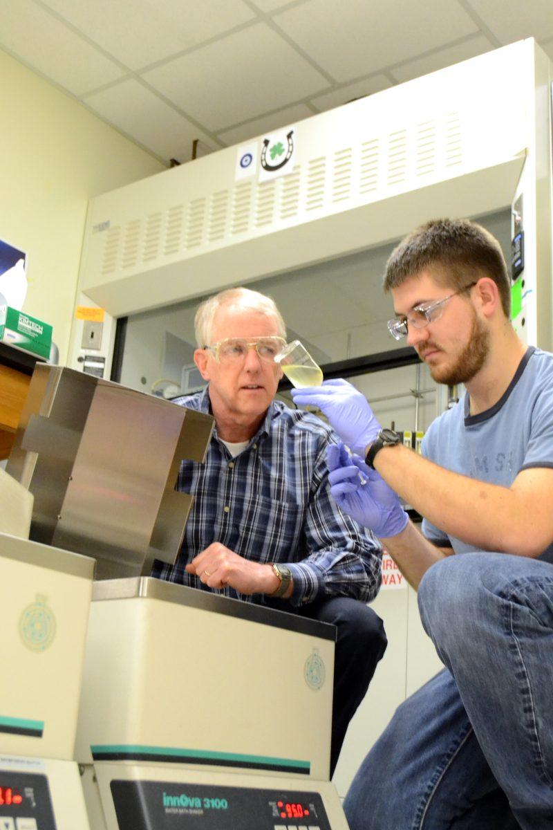 Andrew Loder, a graduate student working under Dr. Robert Kelly, loads a sample into the 95&#251;C thermal bath on March 10. Dr. Kelly's research involved the conversion of organic materials, such as CO2, into usable fuel.