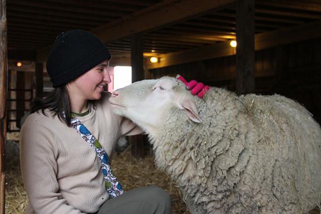 Room to run: New farm animal sanctuary gains community trust, helps responsible farm animal care catch on in Pittsboro.