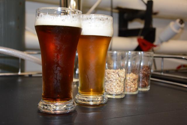 The Brickyard Red and Chancellor's Choice IPA are two of the several kinds of beer brewed at the Pilot Plant in the Schaub Food Science Building. Photo by Chris Rupert.