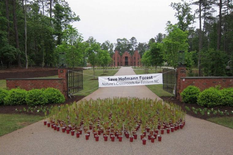 Protestors left dozens of pine trees in front of the Chancellor&#8217;s house May 6.&#160;
