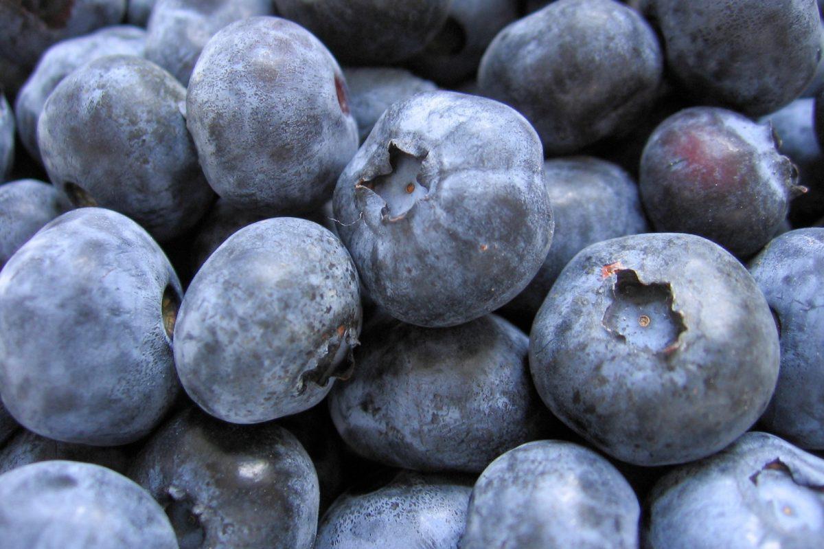 Do you know the Blueberry Man?