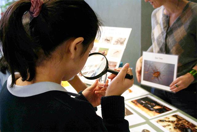 NSF grants $7.3 million to NCSU to promote novice science researchers