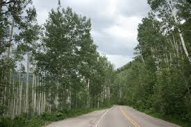 USFS seeks forest sustainability