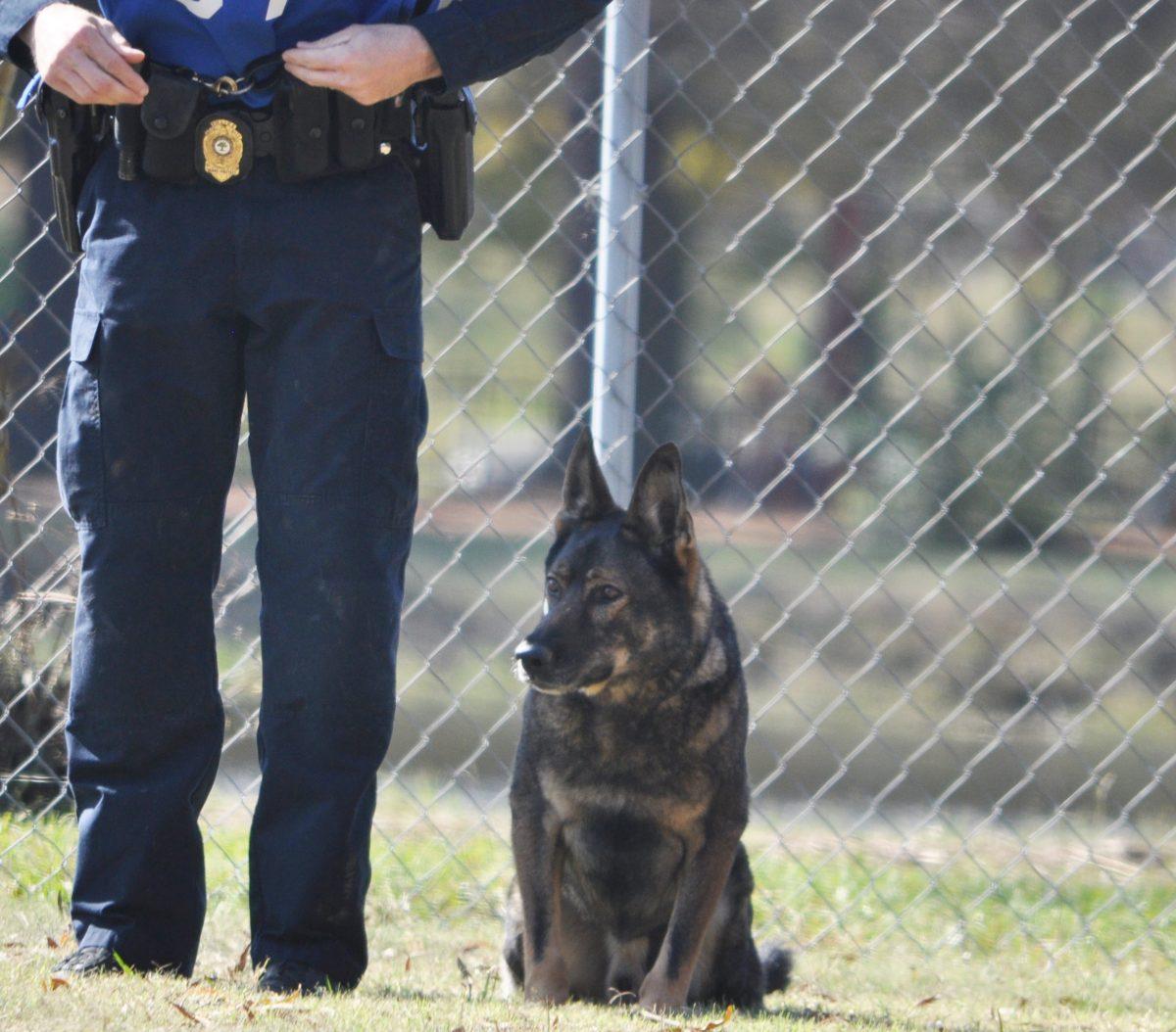 Each Raleigh police dog is trained to protect its handler. The handlers and dogs form a&#160;close bond and the dogs retires into their officers&#8217; custody.