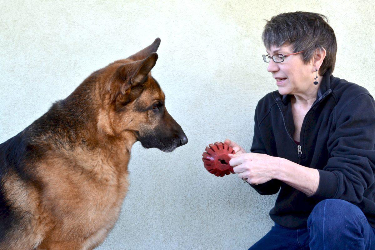 Warren has trained Solo to be a cadaver dog, which is a work dog that looks for missing people&#160;who are presumed dead.