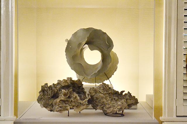 From Nov. 21 to Jan. 31, the Gregg Museum of Art and Design is hosting the ceramic works of Siglinda Scarpa. The exhibit, "And With This Shell, The Sea," displays work inspired by the North Carolina Coast.