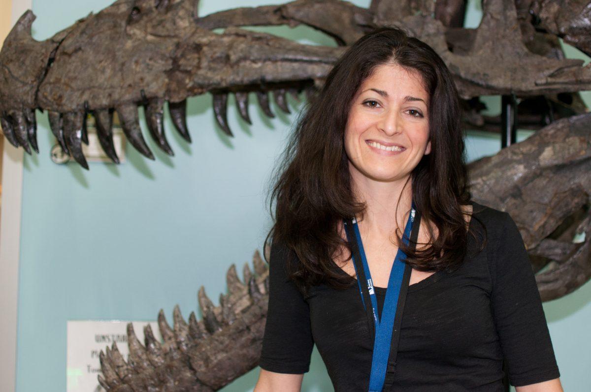 Lindsay Zanno, a research assistant professor in biology, works at the Paleontology and Geology Research Lab in the Nature Research Center of the Museum of Natural Sciences in downtown Raleigh. Zanno&#8217;s most recent research was on the brain casings of therizinosaur, a group of plant-eating dinosaurs. Recently, she discovered Siats meekerorum, a new carnivorous dinosaur.