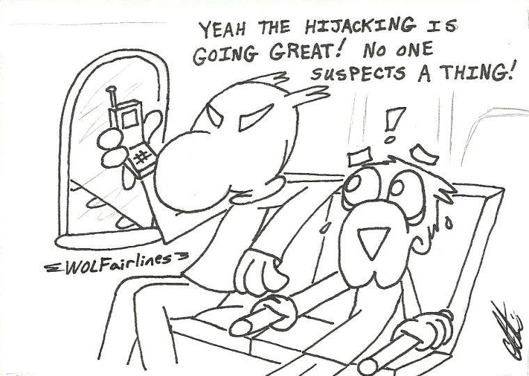 Allowing in-flight phone calls is unnecessary