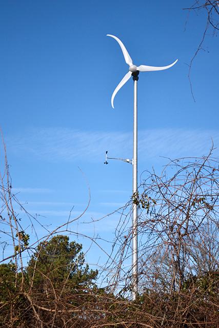 A wind turbine towers over surrounding brush at the NCSU Solar House facility Thursday morning, Jan. 9. N.C. State researchers have recently uncovered new ways to more efficiently utilize wind power. Photo by Caide Wooten.
