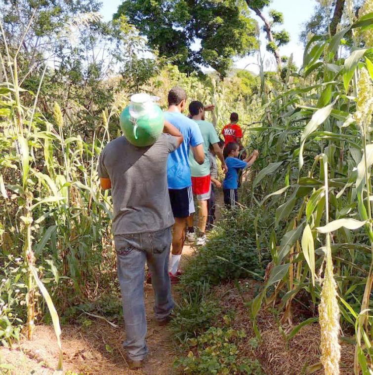 Becarios de Caldwell caminan entre tallos de ma&#237;z para subir una peque&#241;a monta&#241;a en la periferia de San Jos&#233; Villa Nueva. En ocho d&#237;as, los becarios de Caldwell se enamoraron con el campo de El Salvador, el pa&#237;s natal de Lisbeth Arias, uno de los becarios de Caldwell.