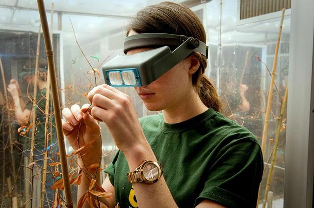 Emily Meineke, a graduate student in entomology, conducts research concerning human-and-insect interaction in urban environments. She says open-source research is beneficial overall, but could lead to problems.