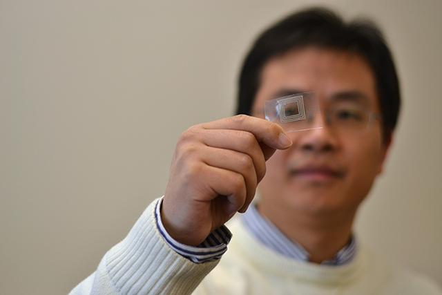 Yong Zhu displays a silver nanosensor prototype he and doctoral student Shanshan Yao have developed. The technology is designed to integrate into wearable devices, such as prosthetics or flexible touch pads to sense motions of the body. &#160;