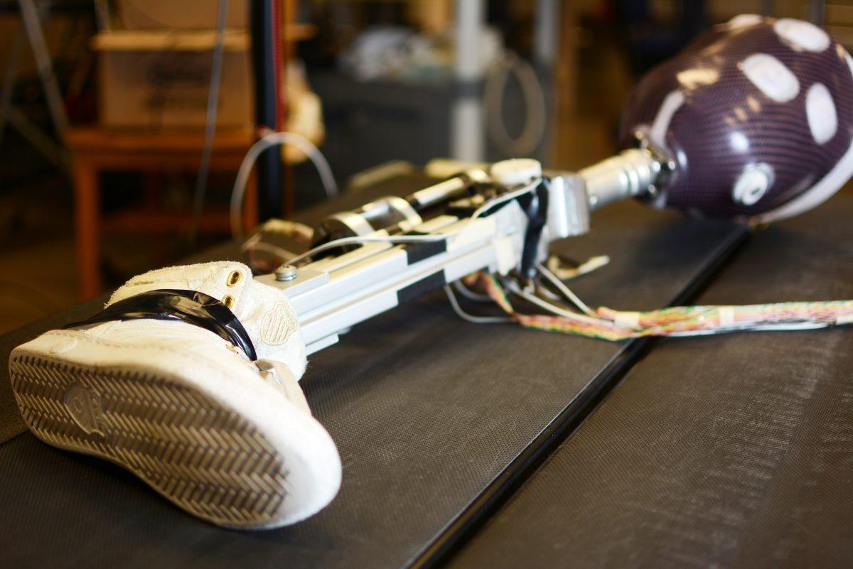 A prosthetic limb lies in the lab of Helen Huang, associate professor in the biomedical engineering department. Professor Huang and her team work to find better ways for prosthetics and the brain to communicate. Photo by Chris Rupert