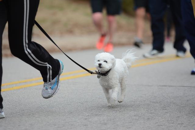 Approximately 7,700 runners participated in the 10th annual Krispy Kreme Challenge in Raleigh Saturday, Feb. 8, 2014. The event raised $200,000 for the North Carolina Children's Hospital.
