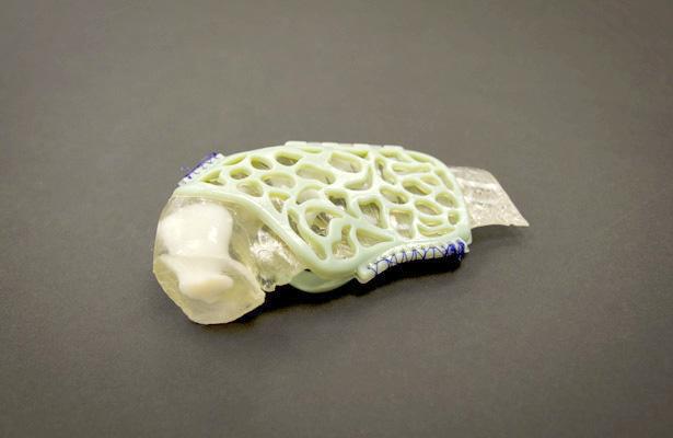 Dr. Emily Christiansen, a post doctorate resident in the department of clinical sciences, prompted the creation of a splint for an injured turtle&#8217;s leg with a 3-D printer. It was developed by putting the turtle&#8217;s broken leg through a CT scan and was then finished by the biomedical engineering department of NCSU.&#160;