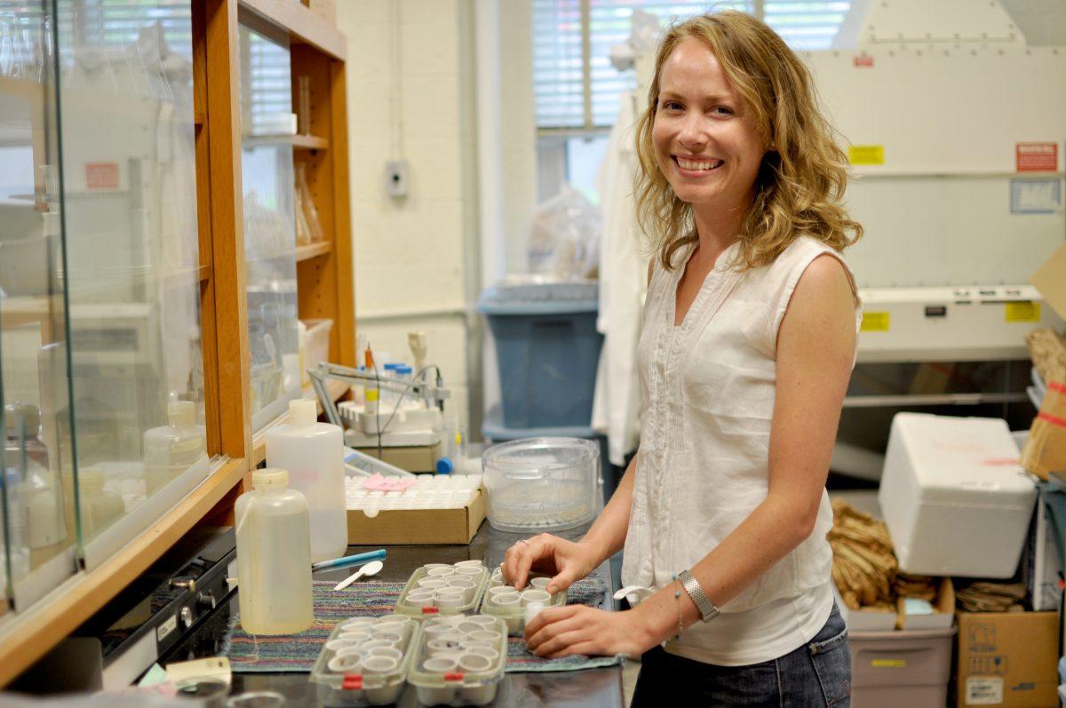 Amanda McWhirt, a Ph.D. student in crop science, is working to develop sustainable soil methods on strawberry farms to keep North Carolina the third strawberry producer in the nation. In the lab, researhcers check the strawberry roots for the presence of arbuscular mycorrhical fungi, which helps the plants to flourish.