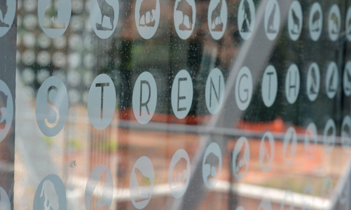 Small wolf embellishments cover the glass of the Technology Tower elevator at Talley Student Union.