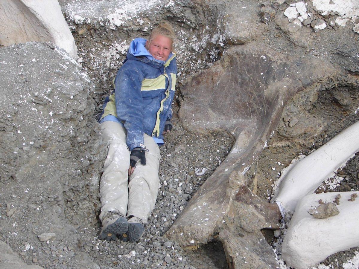 Alison Moyer, a graduate student in zoology, was part of a team from Drexel University that discovered bones from a new species of dinosaur.