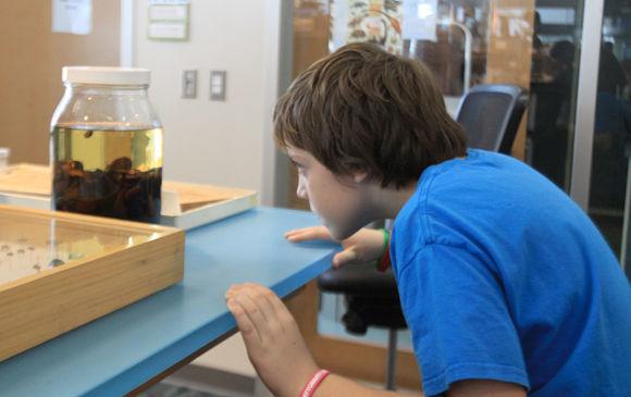 BugFest returned to the Museum of Natural Sciences this past Saturday, Sept. 20. Attendees were able to interact with entomologists, participate in various games and activities, and even try a few six-legged treats at Caf&#233; Insecta.