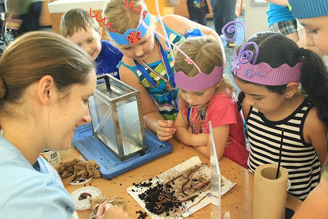 Braelyn Yeater, daughter of Monica Yeater, interacts with the exhibit at BugFest on Saturday in the North Carolina Museum of Natural Sciences. The event gave local residents an opportunity to interact with the fascinating world of bugs.