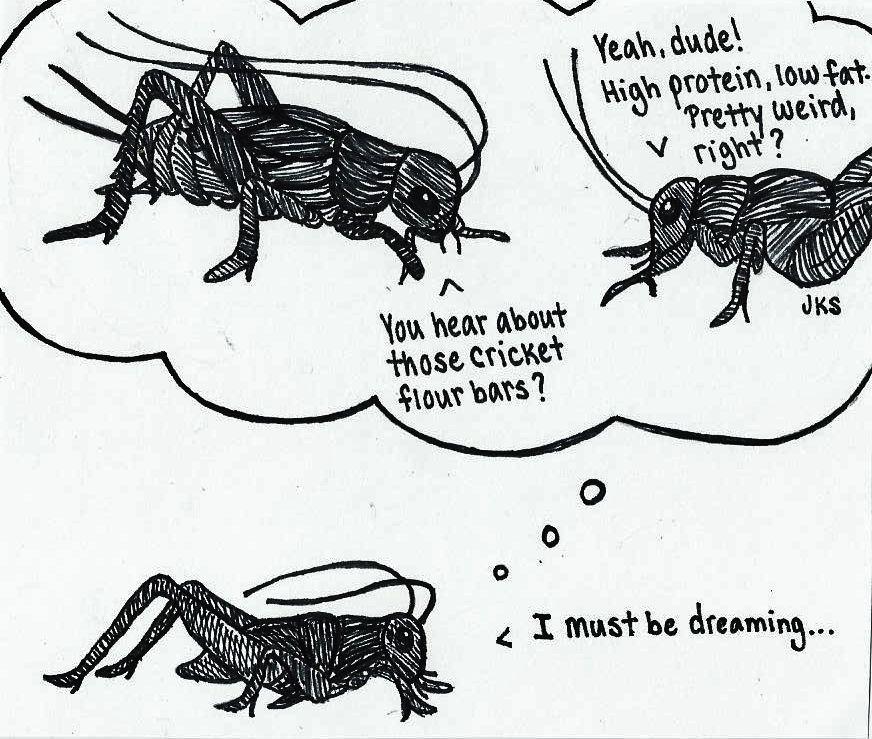 Putting the "ick" in crickets