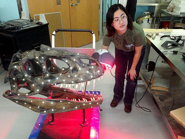 Stephanie Huang, junior studying art and design with a new media and animation concentration, using a hand-held laser scanner to scan the skull of an Allosaurus(italics) as part of her internship at the NC Museum of Natural Science. Scanning this skull was practice for scanning the smaller and much more fragile fossils of the new crocodile specimen. "It was a good learning experience," Huang said. photo courtesy of Stephanie Huang.