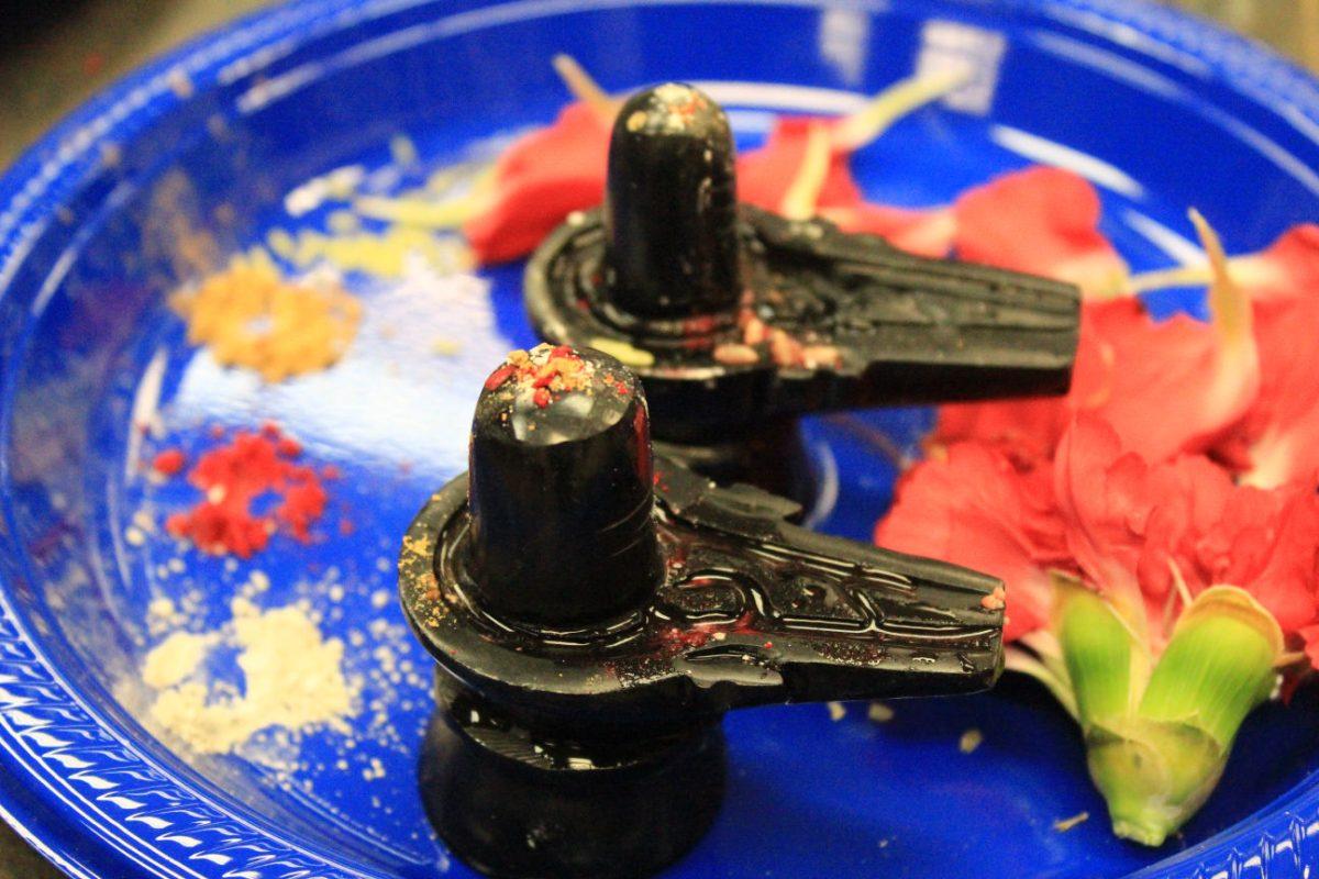 The members of NCSU Hindu Students Association celeberated "Mahashivratri" Sunday evening, Feb. 22, 2015 in Withers Hall. Maha Shivaratri is a Hindu festival celebrated annually in reverence of the god Shiva.