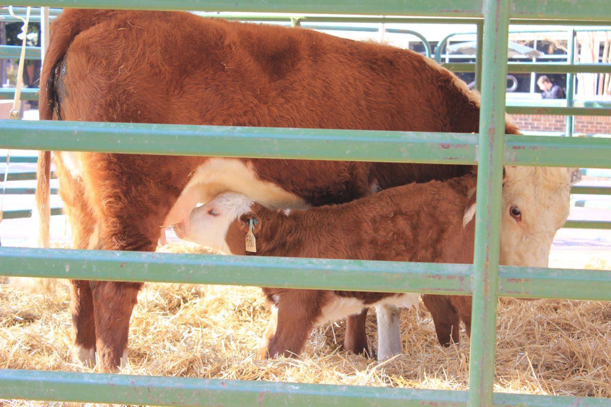 Ag Awareness Week