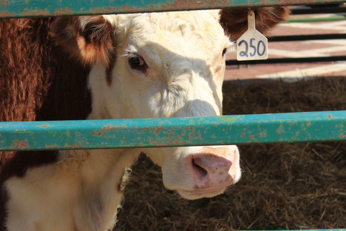 Ag Awareness Week