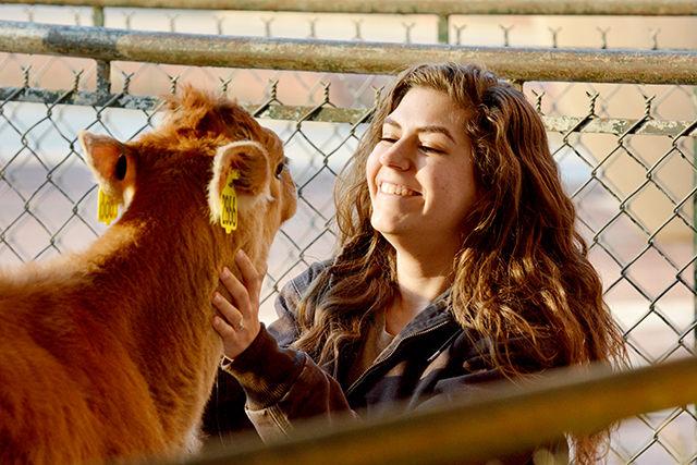 Paola Rodriguez, a junior in animal science pets Stella, a Jersey calf March 23, 2015 on the Brickyard as part of Ag Awareness Week. Ag Awareness Week, sponsored by Alpha Zeta, aims to promote agricultural awareness.