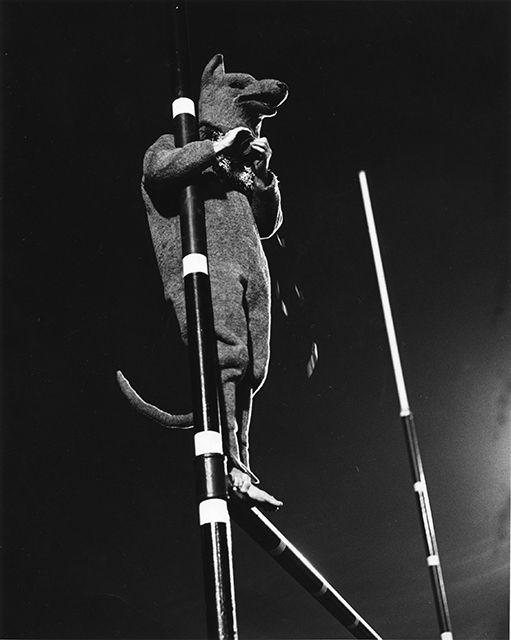 1960