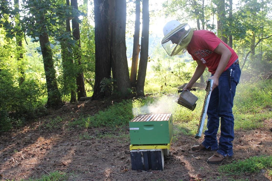 Beekeeping