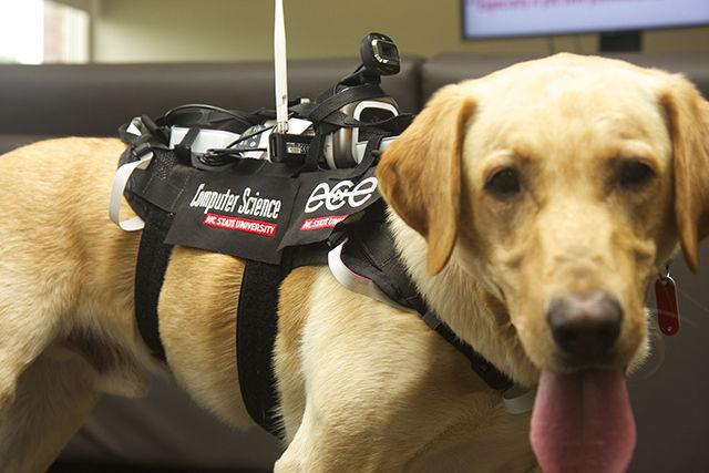David Roberts and a team of researchers at NC State have developed a harness prototype that utilizes various forms of technology to allow for two-way communication between man and man&#8217;s best friend.