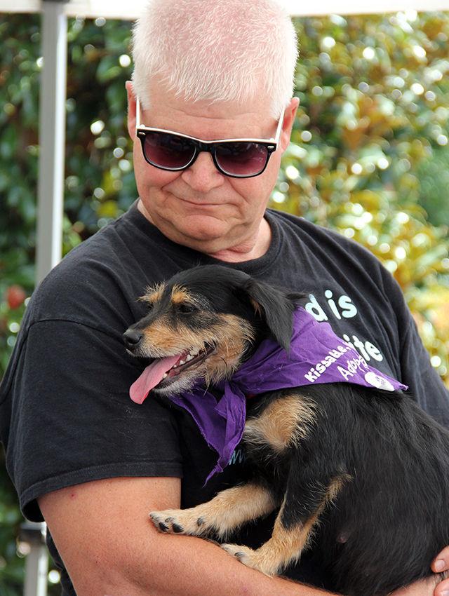 Gary Burkman, who works at Hope Animal Rescue holds Snow, a year old Terrior mix dog during the 24th Annual Dog Olympics at the NC State University College of Veterinary Medicine on Saturday, September 19, 2015.