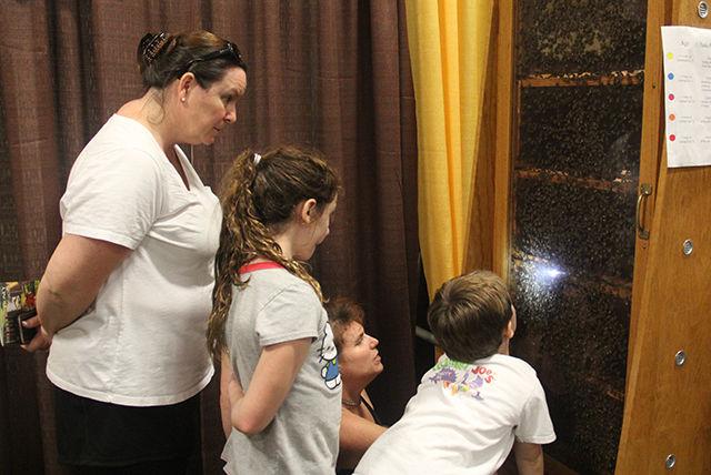 Geneva Green, the Master Bee Keeper at Orange County Bee Keeper Association explains about Bee keeping to George Haralambakis (Age 6) and Eva Haralambakis (Age 9) and their mom Leigh Ayn at North Carolina State Fair on Firday, October 23rd, 2015. The North Carolina State Fair is an annual fair and agricultural exposition held in Raleigh, North Carolina, and organized by the North Carolina Department of Agriculture and Consumer Services.