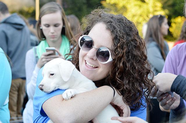 Elizabeth Furches, a frehman studying elementary education, holds Swann the Glen of Imaal Terrier pup at Puppy Palooza on Stafford Commons on Tuesday, October 20, 2015.