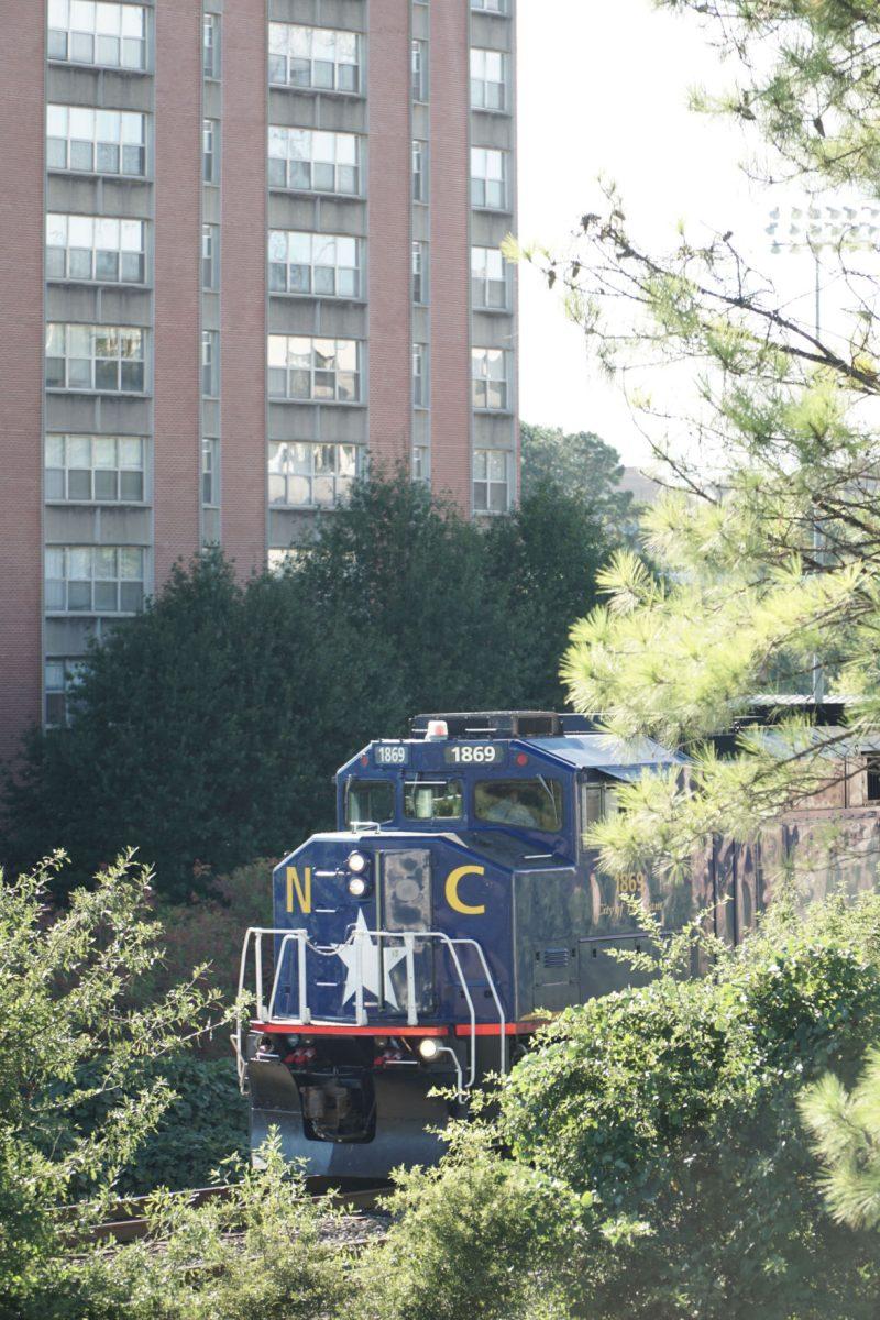 Tuesday a pedestrian was struck and killed by an eastbound train on the train tracks that border the north side of NC State's campus. The pedestrian was struck on a section of track that is behind 621 Motor Pool Street, near Sullivan Hall.